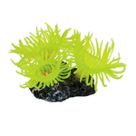 UNDERWATER TREASURES UT SUN POLYP-MINI