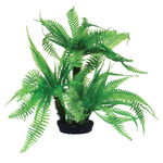 UNDERWATER TREASURES UT Jurassic Fern - 10"