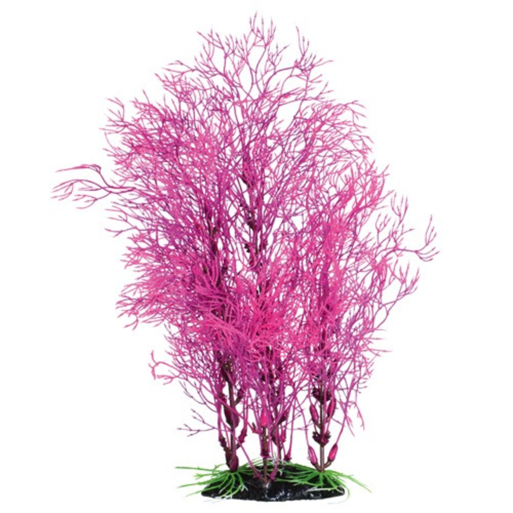 UNDERWATER TREASURES UT FUSCIA FERN LG