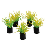 UNDERWATER TREASURES Mini Plant - Spring Grass green - 1.25" - 5 pk