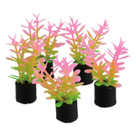 UNDERWATER TREASURES Mini Plant - Pink and Green - 1.5" - 5 pk