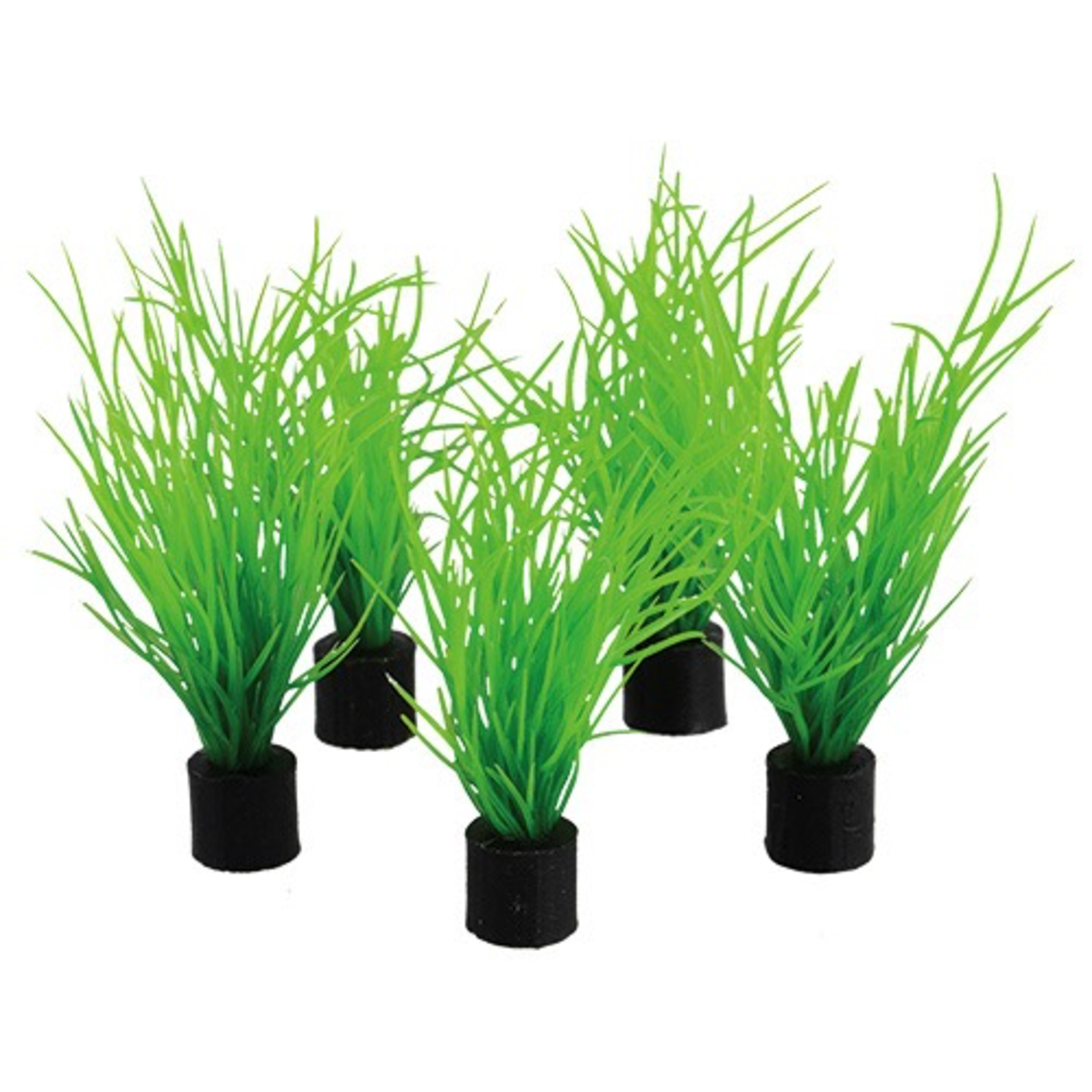 UNDERWATER TREASURES Mini Plant - Bog Grass - 3" - 5 pk