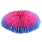 UNDERWATER TREASURES Plate Coral - Pink - Smal