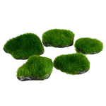 UNDERWATER TREASURES UT Mini Moss Rock - 5 pk