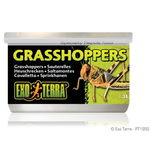 EXO TERRA Exo Terra Canned Grasshoppers - 34 g (1.2 oz)