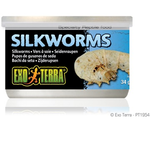 EXO TERRA Exo Terra Canned Silkworms (Pupea) - 34 g (1.2 oz)