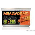 EXO TERRA Exo Terra Canned Mealworms - 34 g (1.2 oz)