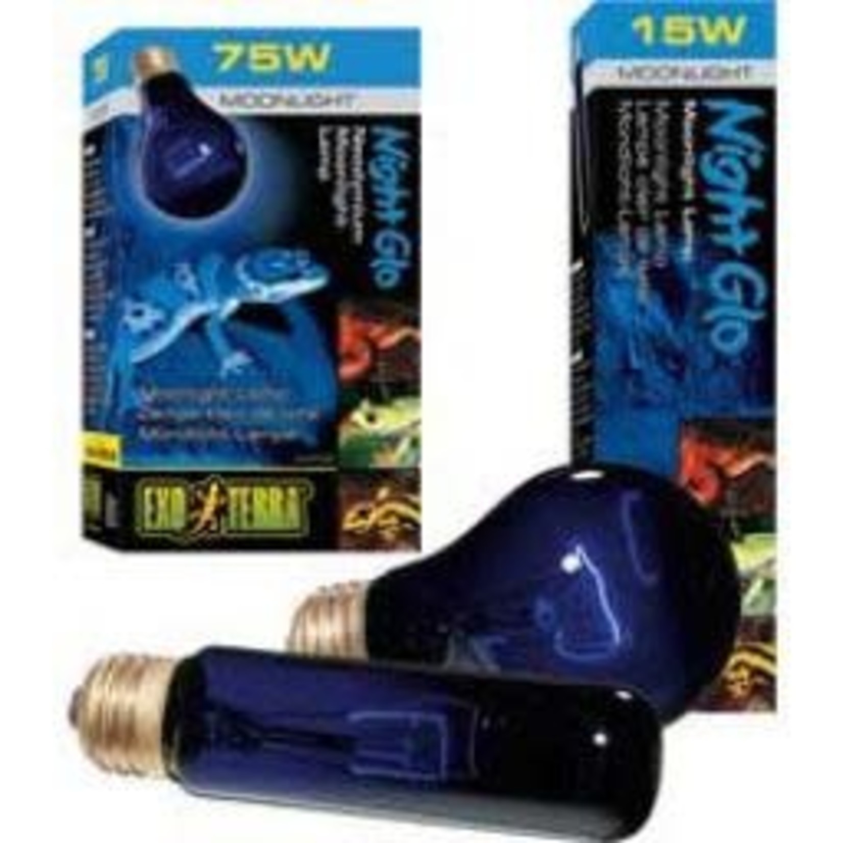 EXO TERRA Exo Terra Night Glo Bulb 75W-V