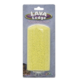lava ledge petsmart