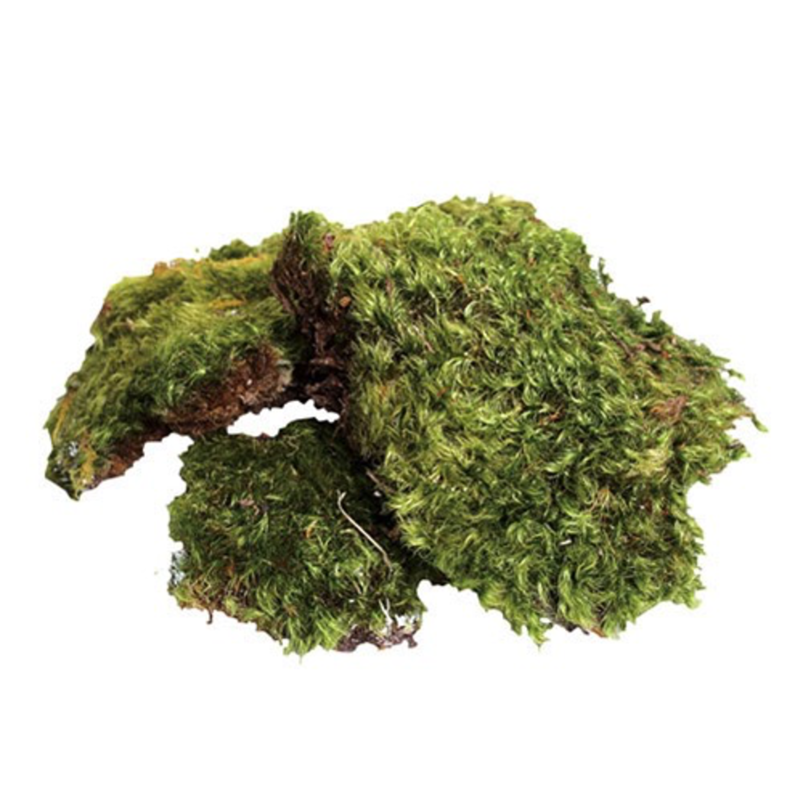 Zoo Med All Natural Frog Moss - 80 Cubic Inches