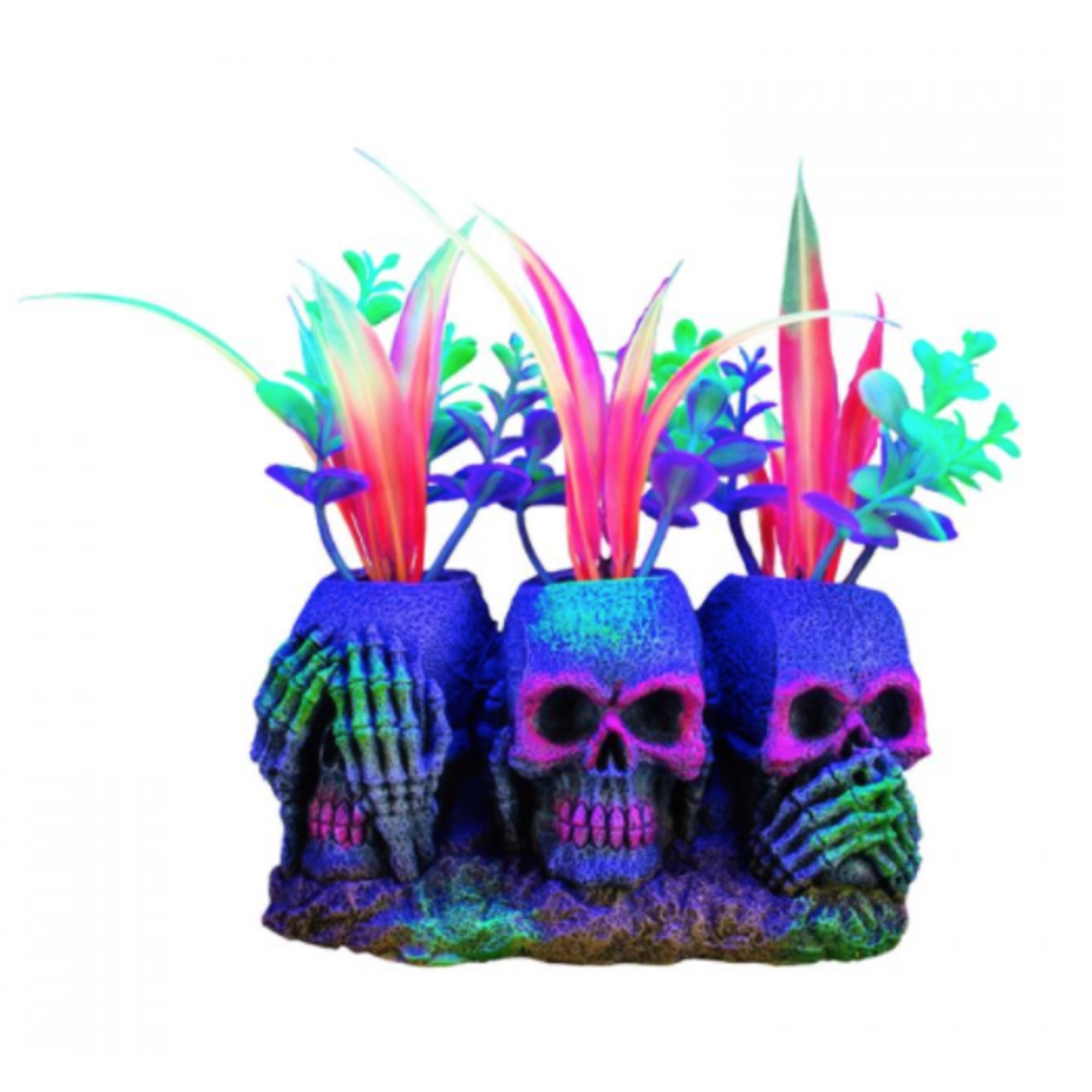MARINA (D) Marina iGlo 3 Skulls with Plants, 3"