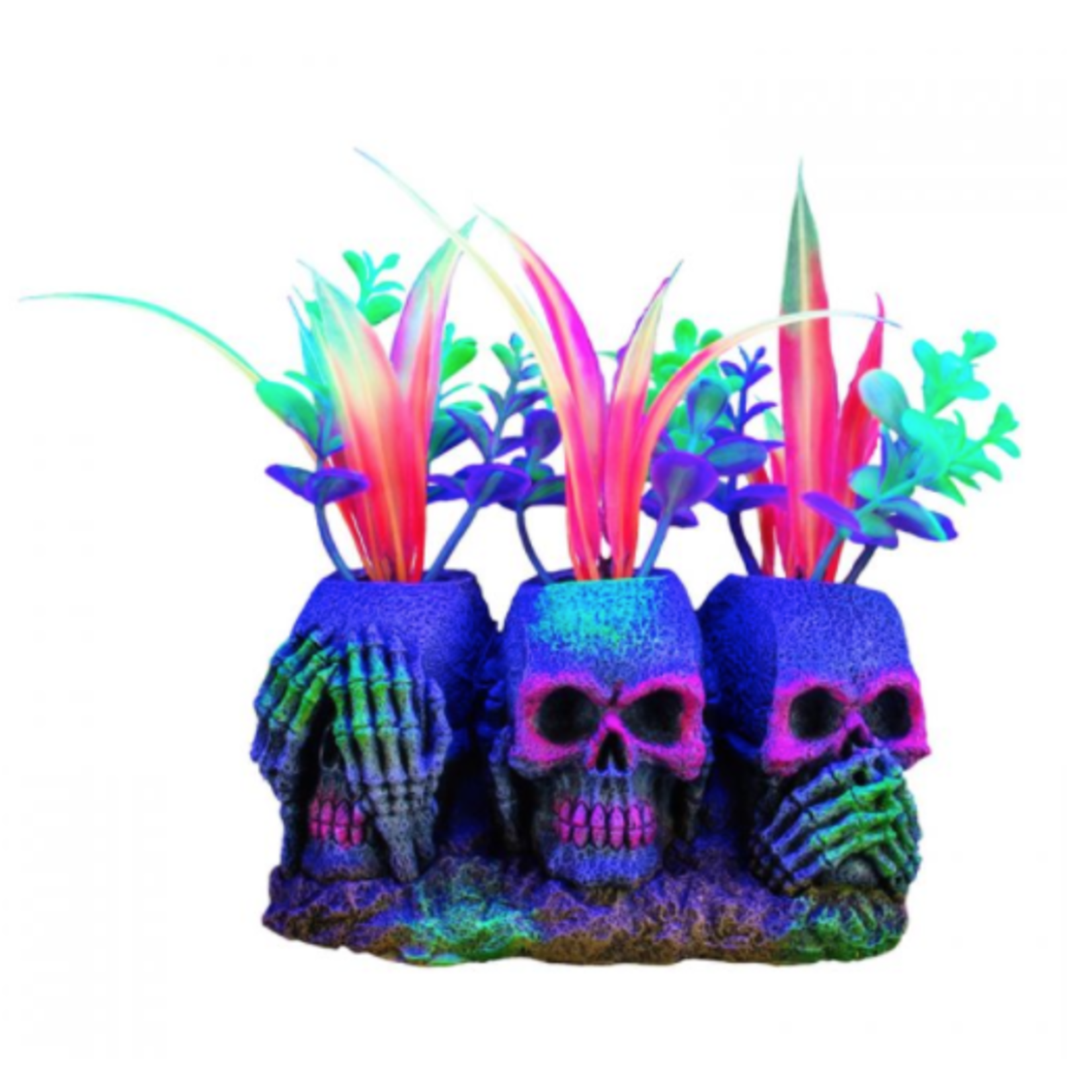 MARINA Marina iGlo 3 Skulls with Plants, 3"