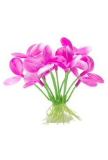 MARINA (D) Marina Betta Pink Orchid - 2.75"