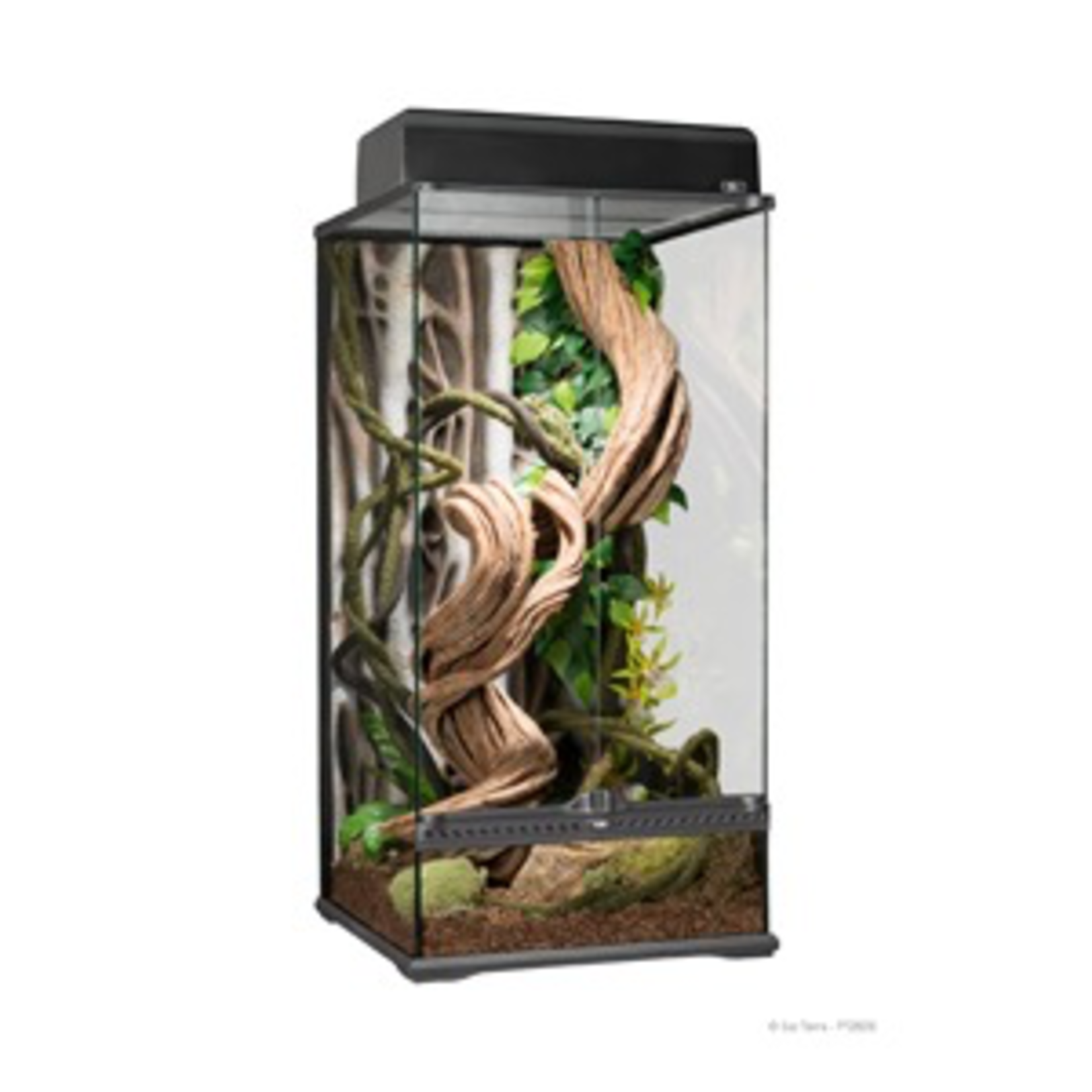 EXO TERRA (D) Exo Terra Natural Glass Terrarium - Small - X-Tall - 45 x 45 x 90 cm (18” x 18” x 36”)