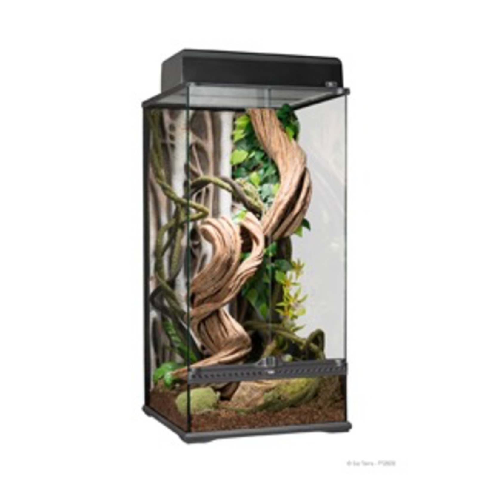 EXO TERRA Exo Terra Natural Glass Terrarium - Small - X-Tall - 45 x 45 x 90 cm (18” x 18” x 36”)