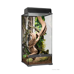 Exo Terra Natural Glass Terrarium - Small - X-Tall - 45 x 45