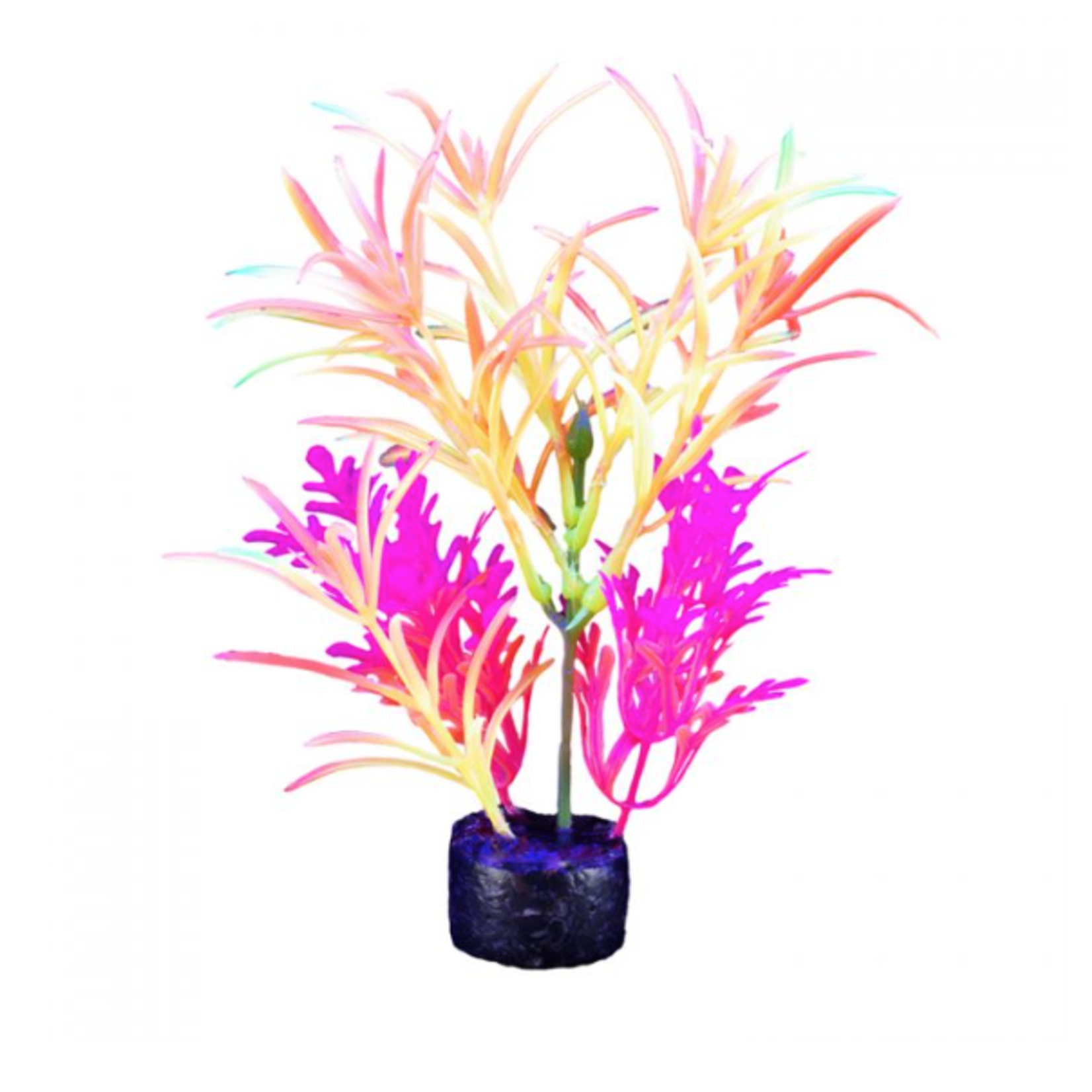 MARINA (D) Marina iGlo Plant 7.5"