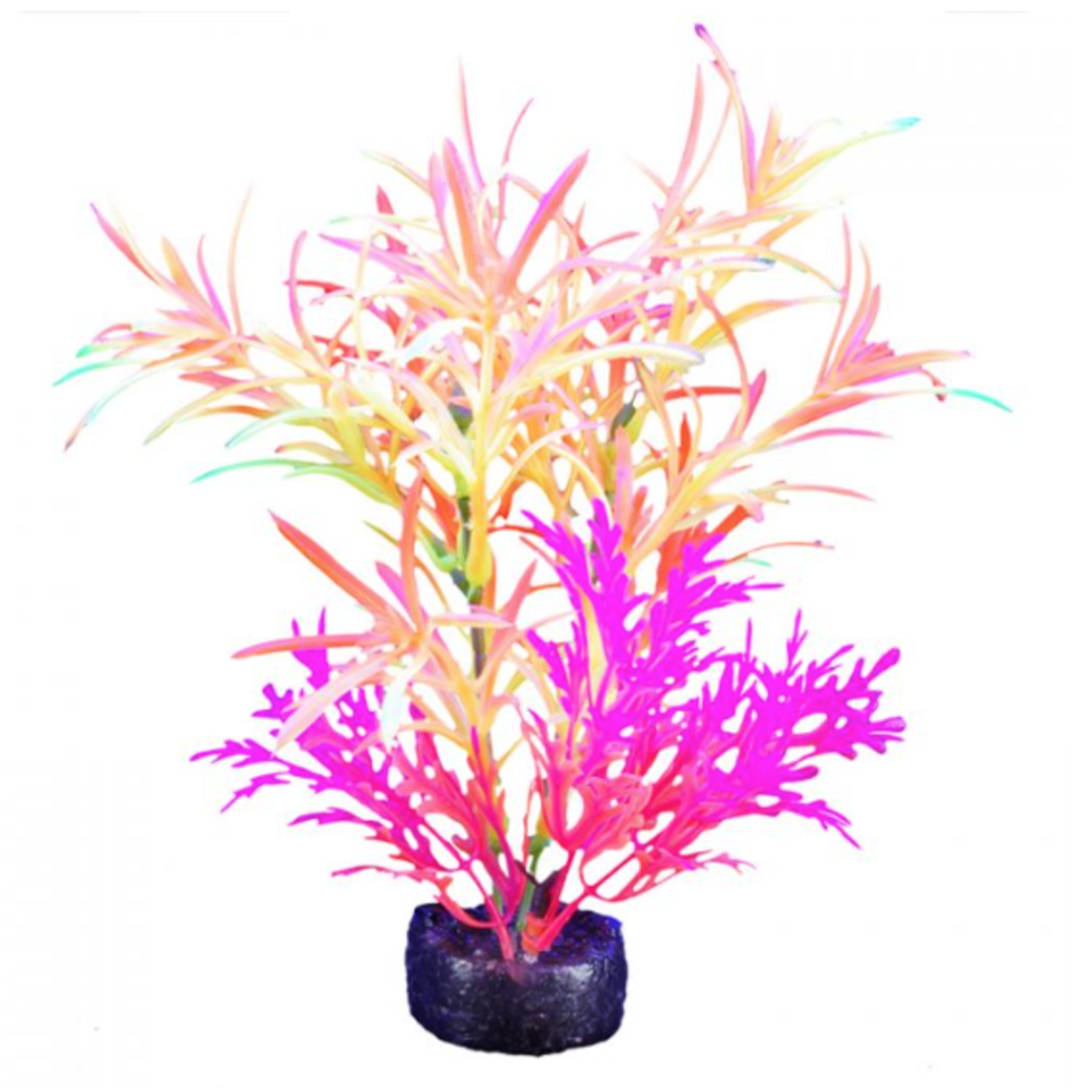 MARINA (D) Marina iGlo Plant 5.5"