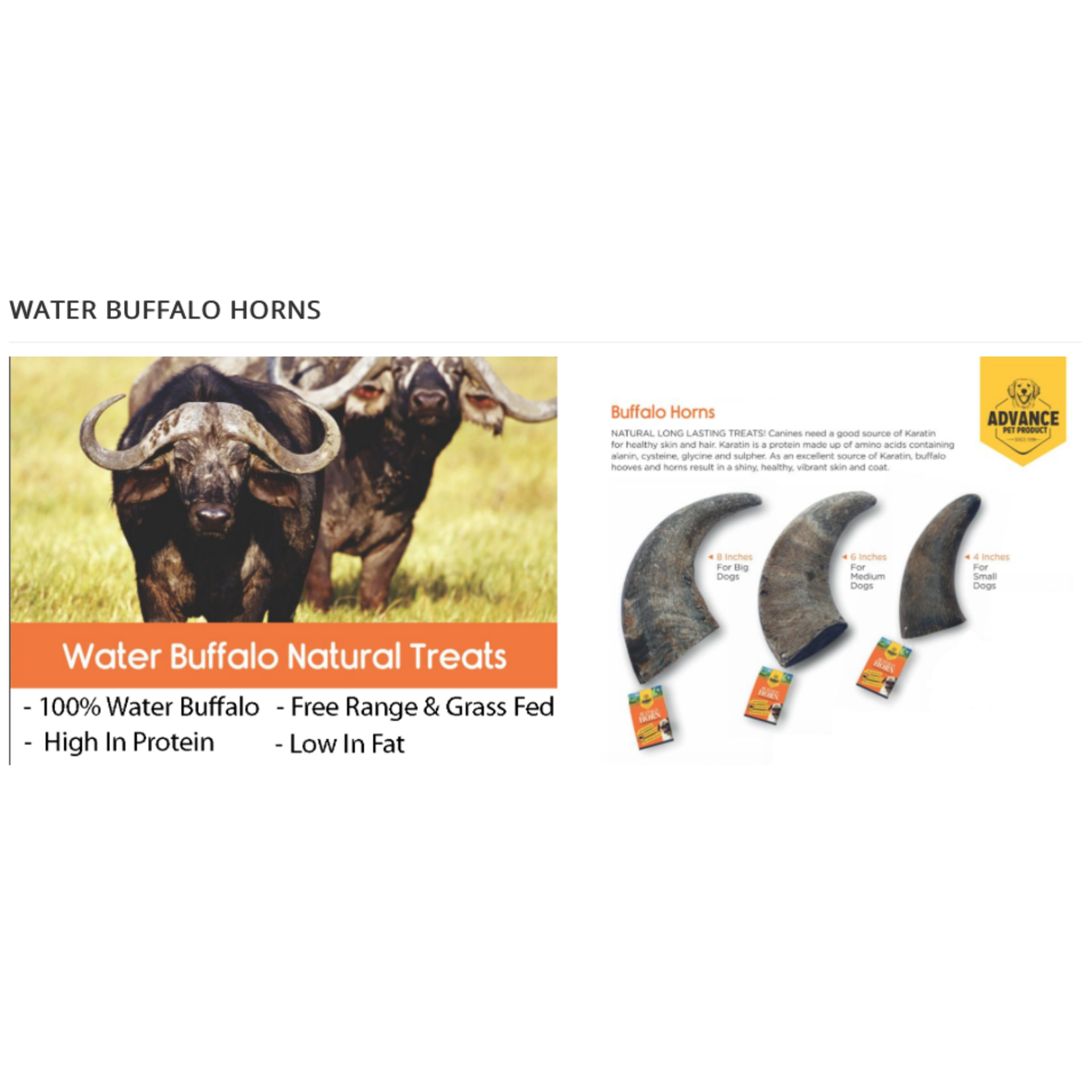 Advance Buffalo Horn - Medium
