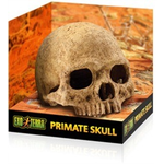 EXO TERRA EX Terrarium Decor - Primate Skull