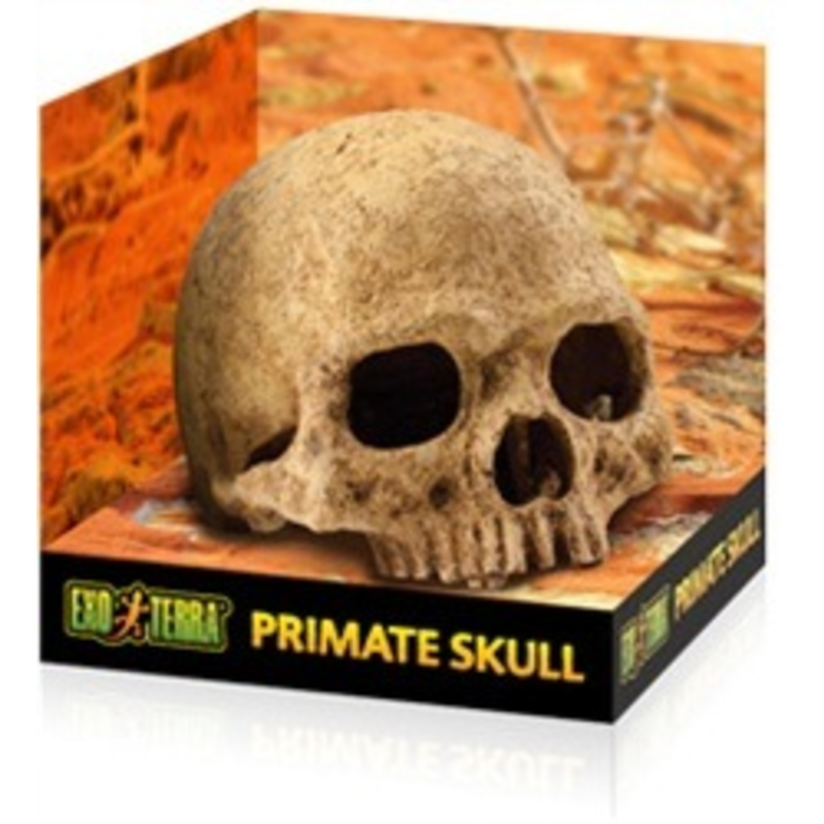 EXO TERRA EX Terrarium Decor - Primate Skull