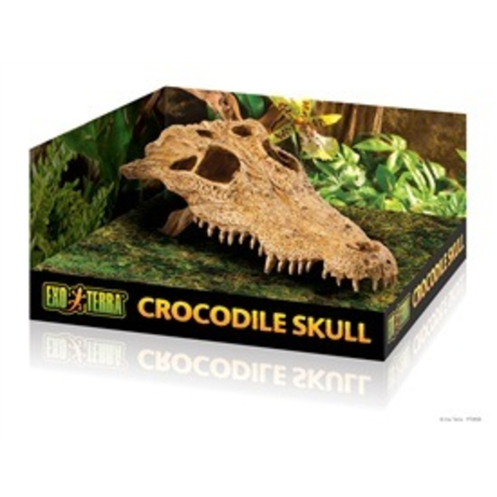 EXO TERRA EX Terrarium Decor - Crocodile Skull