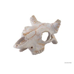 EXO TERRA (D) Exo Terra Buffalo Skull - Small