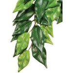 EXO TERRA (W) Exo Terra Silk Plant Med.Ficus-V