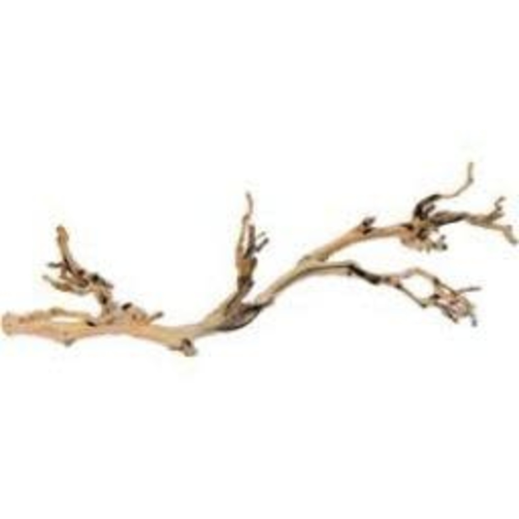 EXO TERRA (W) Exo Terra Forest Branch, Lrg,60cm,24in-V