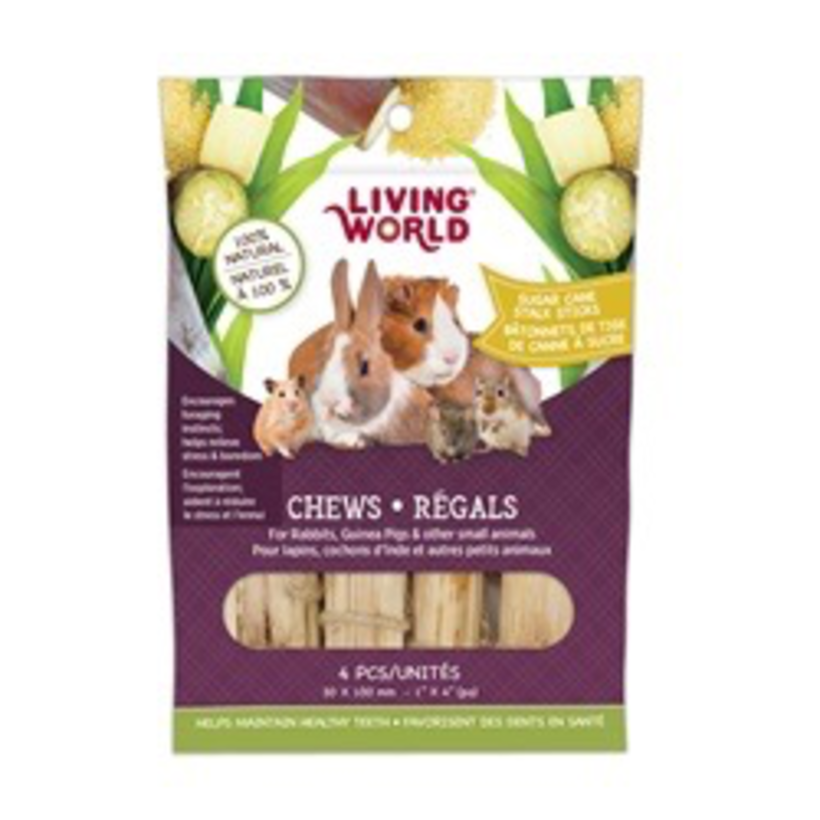 LIVING WORLD Living World Small Animal Chews, Sugar Cane Stalk Sticks, 4 pcs, 1 x 4"