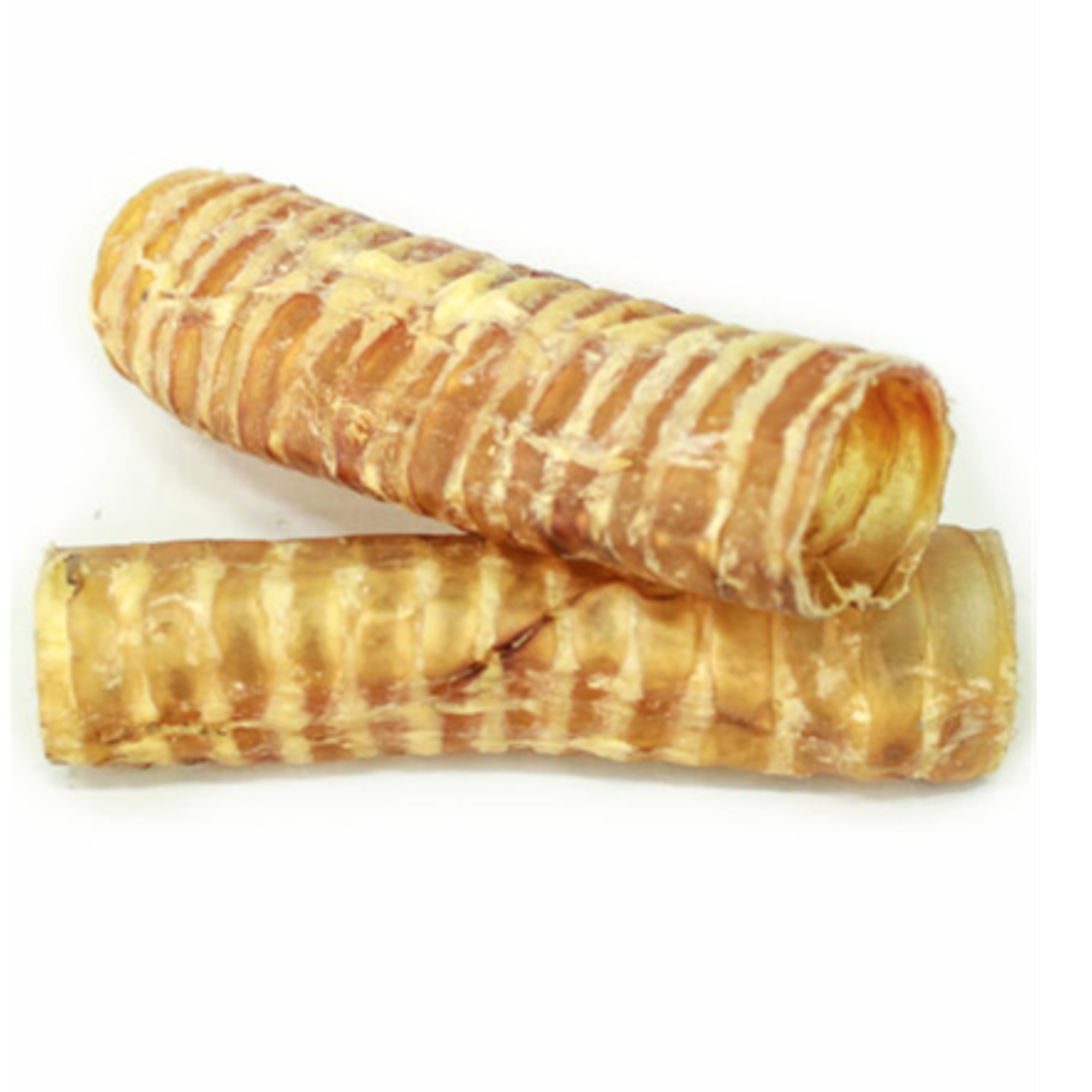 SUPER CAN (D) Super Can 12" Trachea