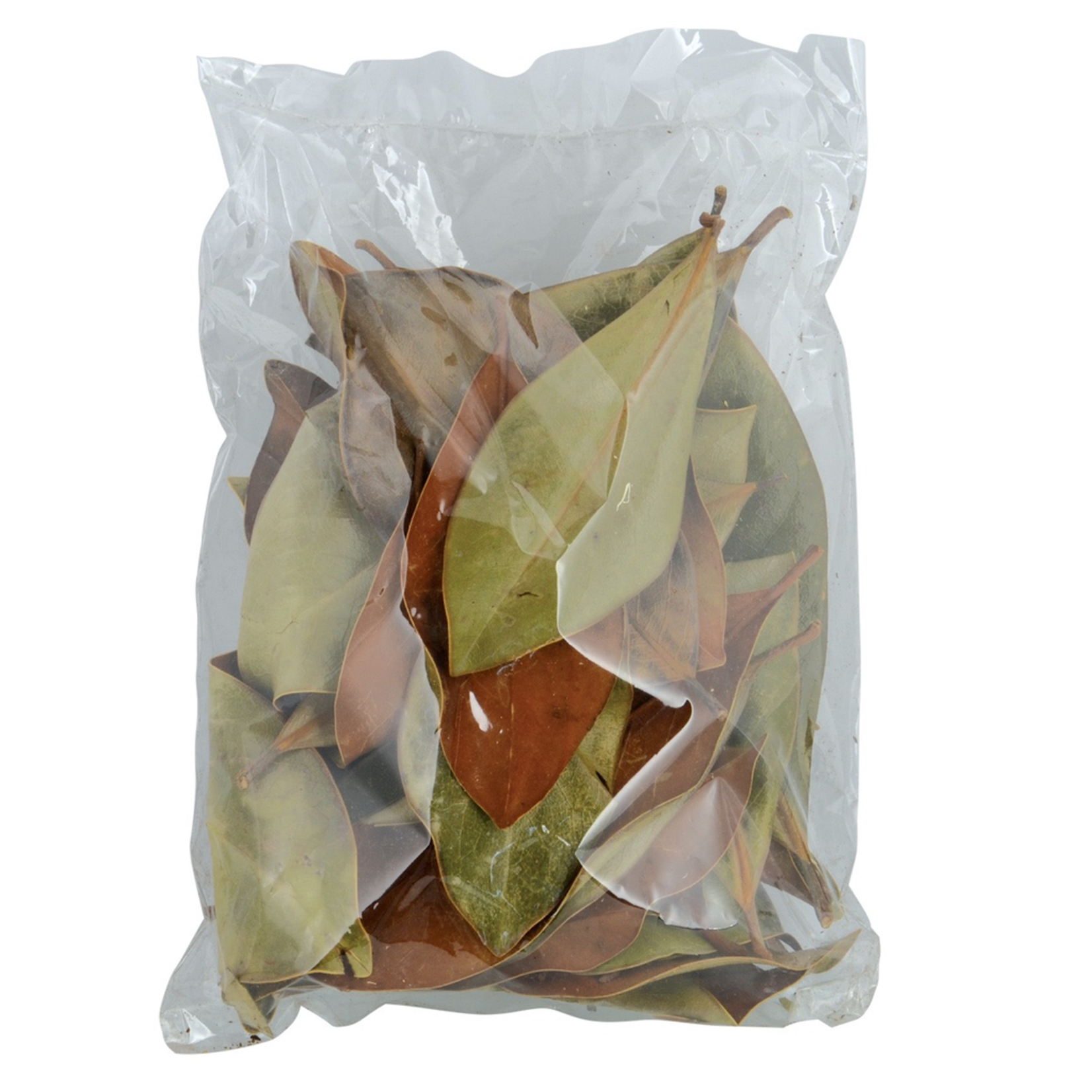 JURASSIC (W) Jurassic Reptile Products Leaf Litter - Magnolia