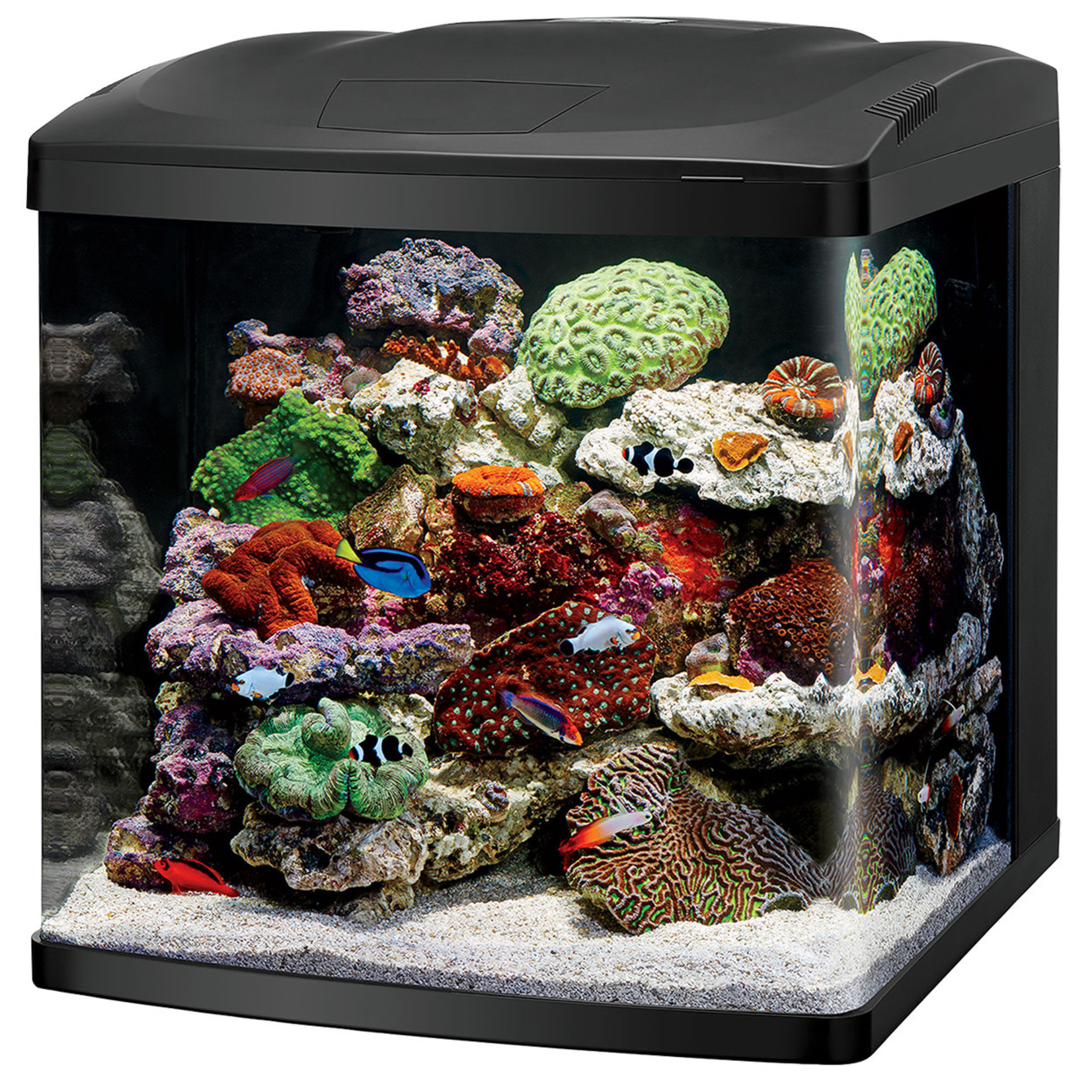 CORALIFE (W) Coralife LED BioCube - 32 gal