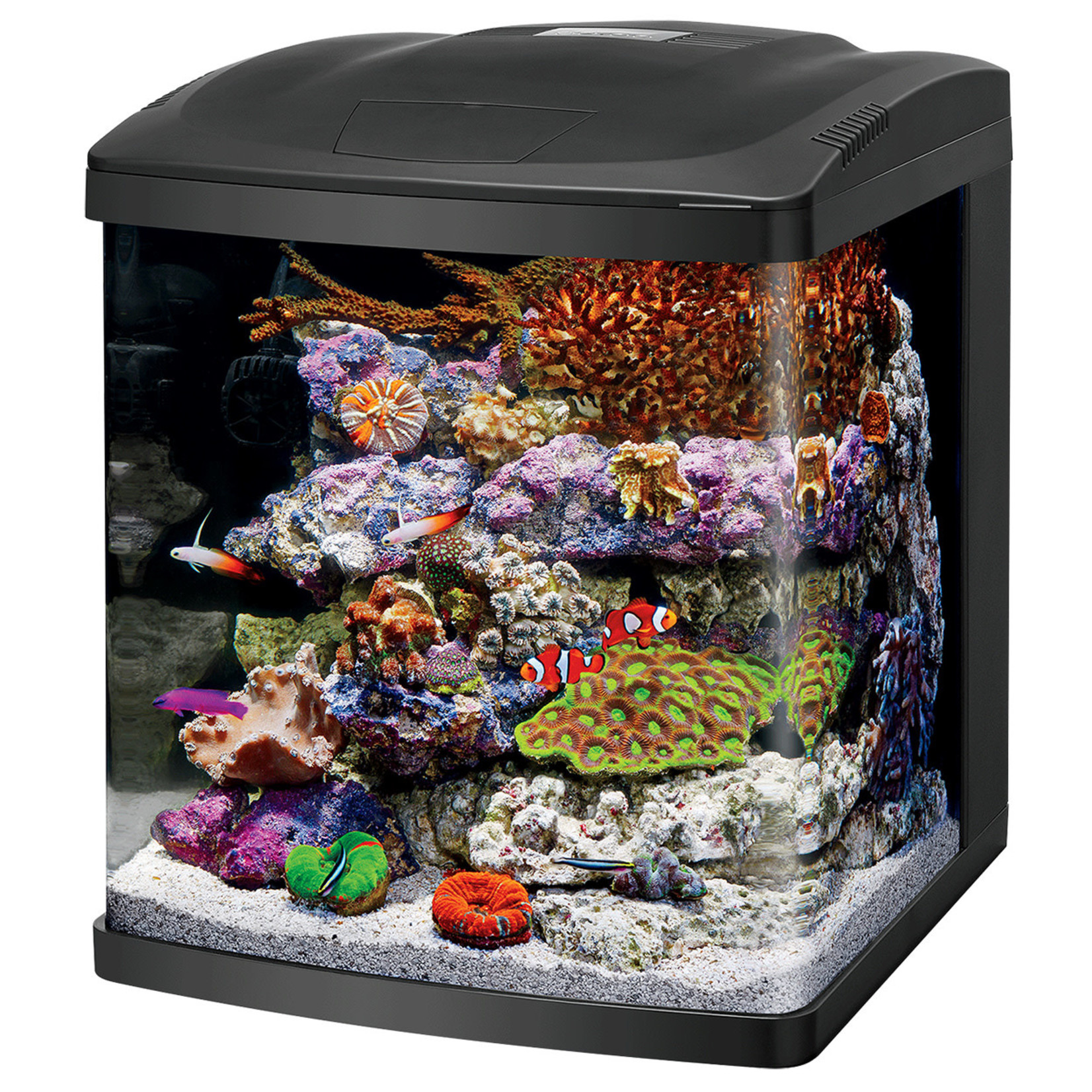 CORALIFE (W) Coralife LED BioCube - 16 gal