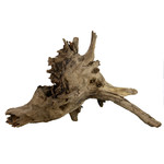 UNDERWATER TREASURES (W) Eucalyptus Root - Large