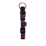 ZEUS Zeus Adj Collar Sm Royal Purple
