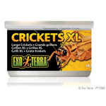 EXO TERRA (W) Exo Terra Canned Crickets,  XL - 34 g (1.2 oz)