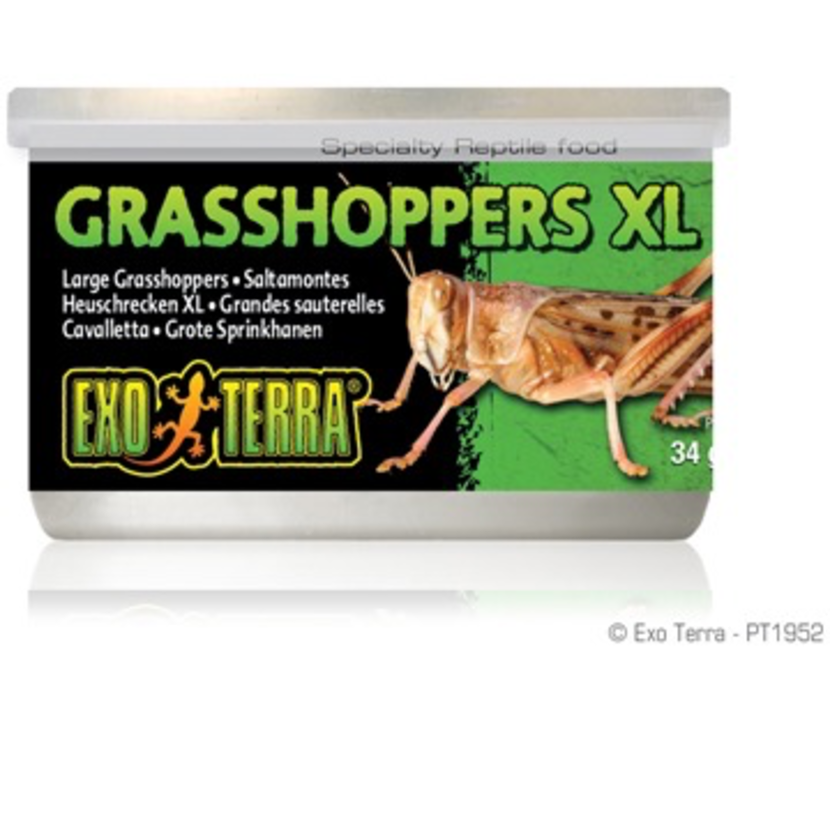 EXO TERRA (W) Exo Terra Canned Grasshoppers - XL - 34 g (1.2 oz)