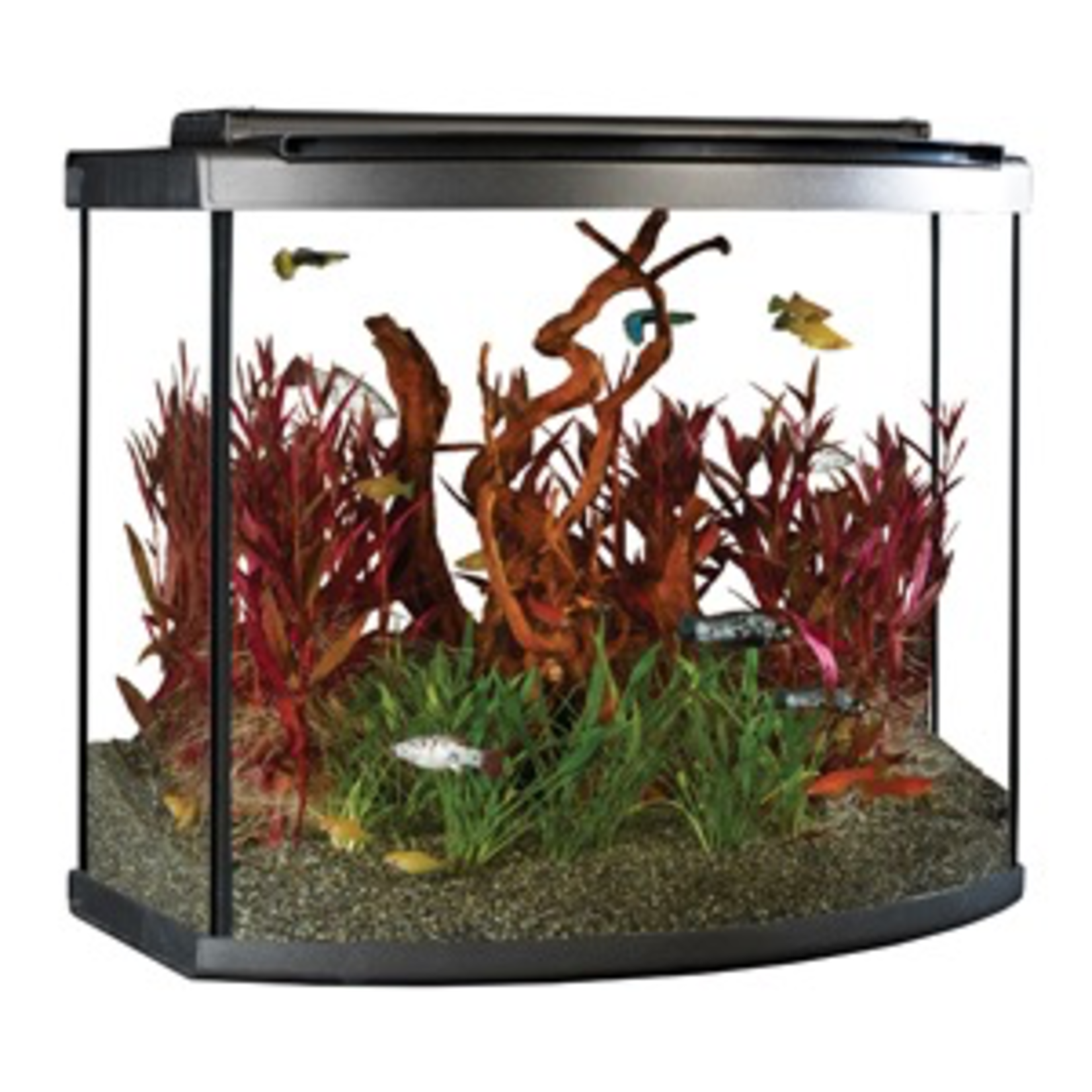 FLUVAL (W) Fluval Premium Aquarium Kit with LED - 26 Bow - 98 L (26 US Gal)