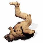 FLUVAL (W) GEOsystem Mopani Wood Small-V