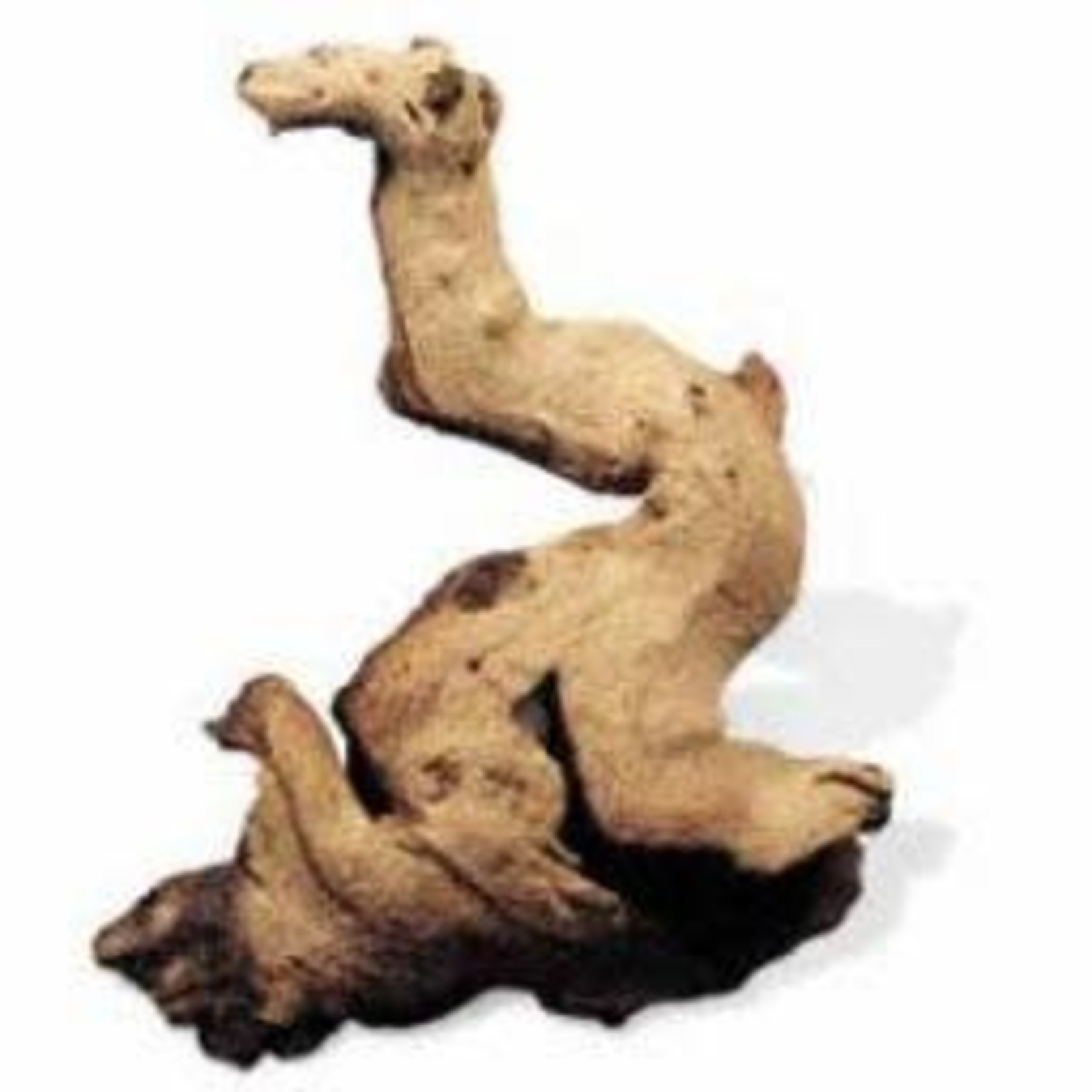 FLUVAL (W) GEOsystem Mopani Wood Small-V