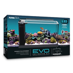FLUVAL (W) Fluval SEA EVO Aquarium Kit - 19 L (5 Gal)