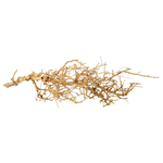 UNDERWATER TREASURES (W) Bird Nest Wood - Medium