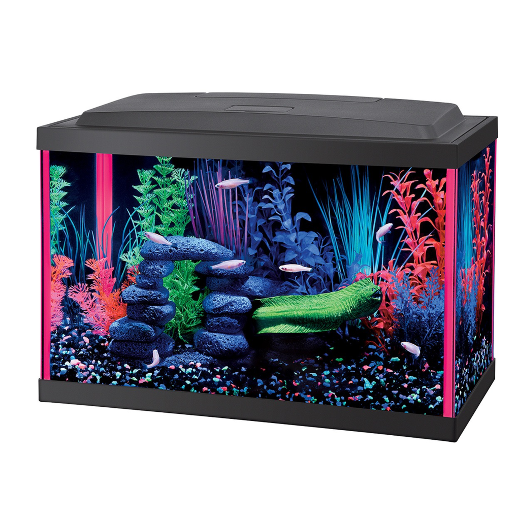 AQUEON (W) NeoGlow Rectangle Aquarium Kit - Pink - 5.5 ga