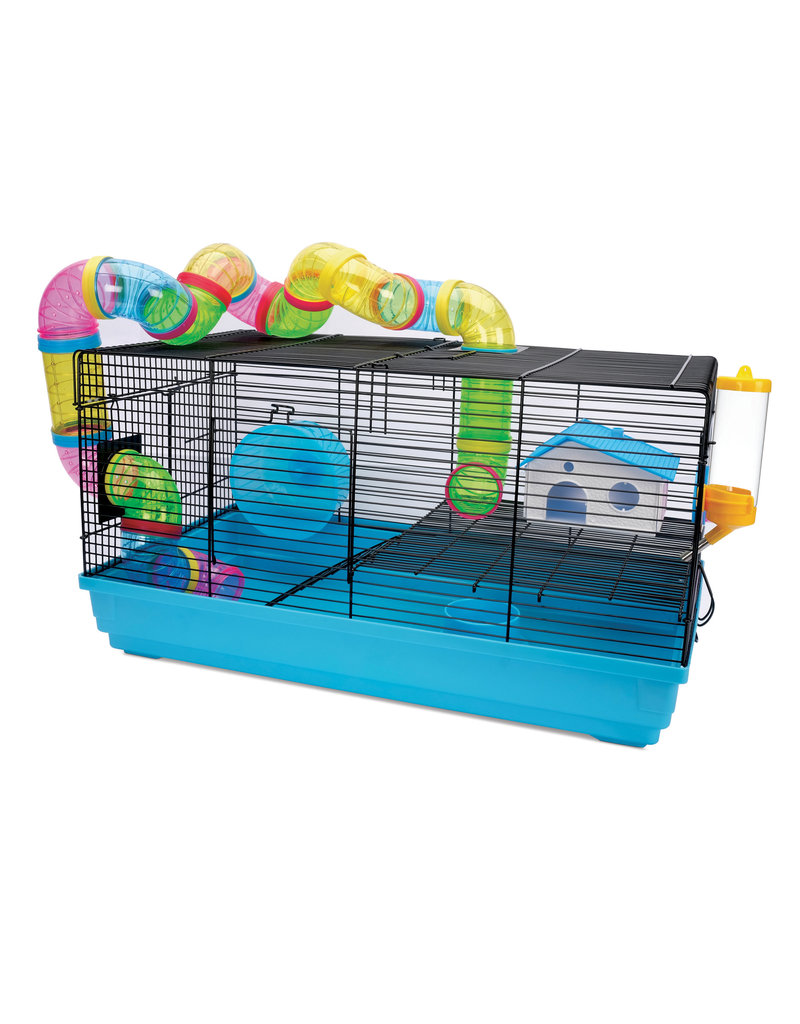 dwarf hamster starter kit