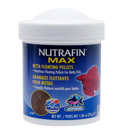 nutrafin bug bites betta