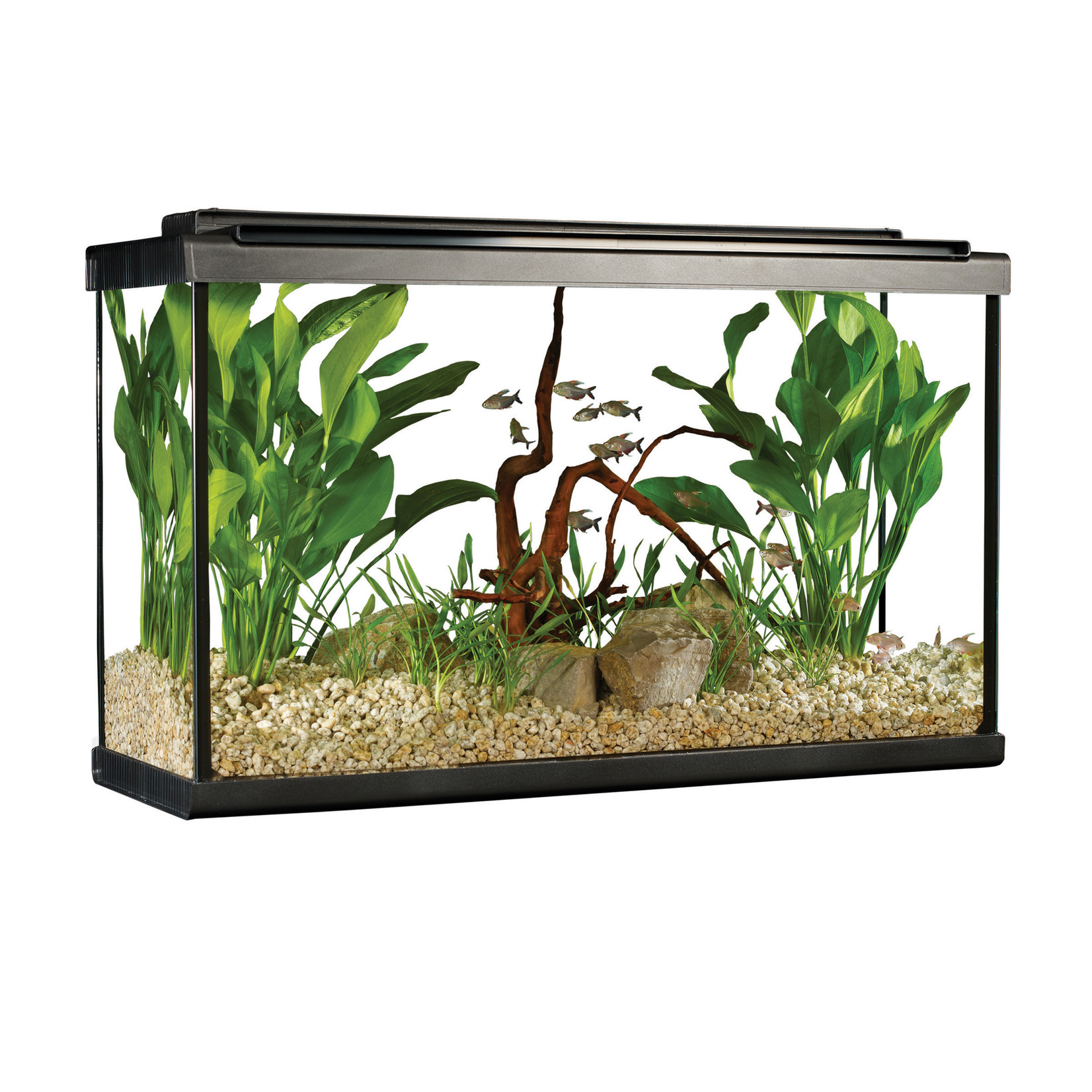 FLUVAL (W) Fluval Premium Aquarium Kit with LED - 29 Tall - 110 L (29 US Gal)