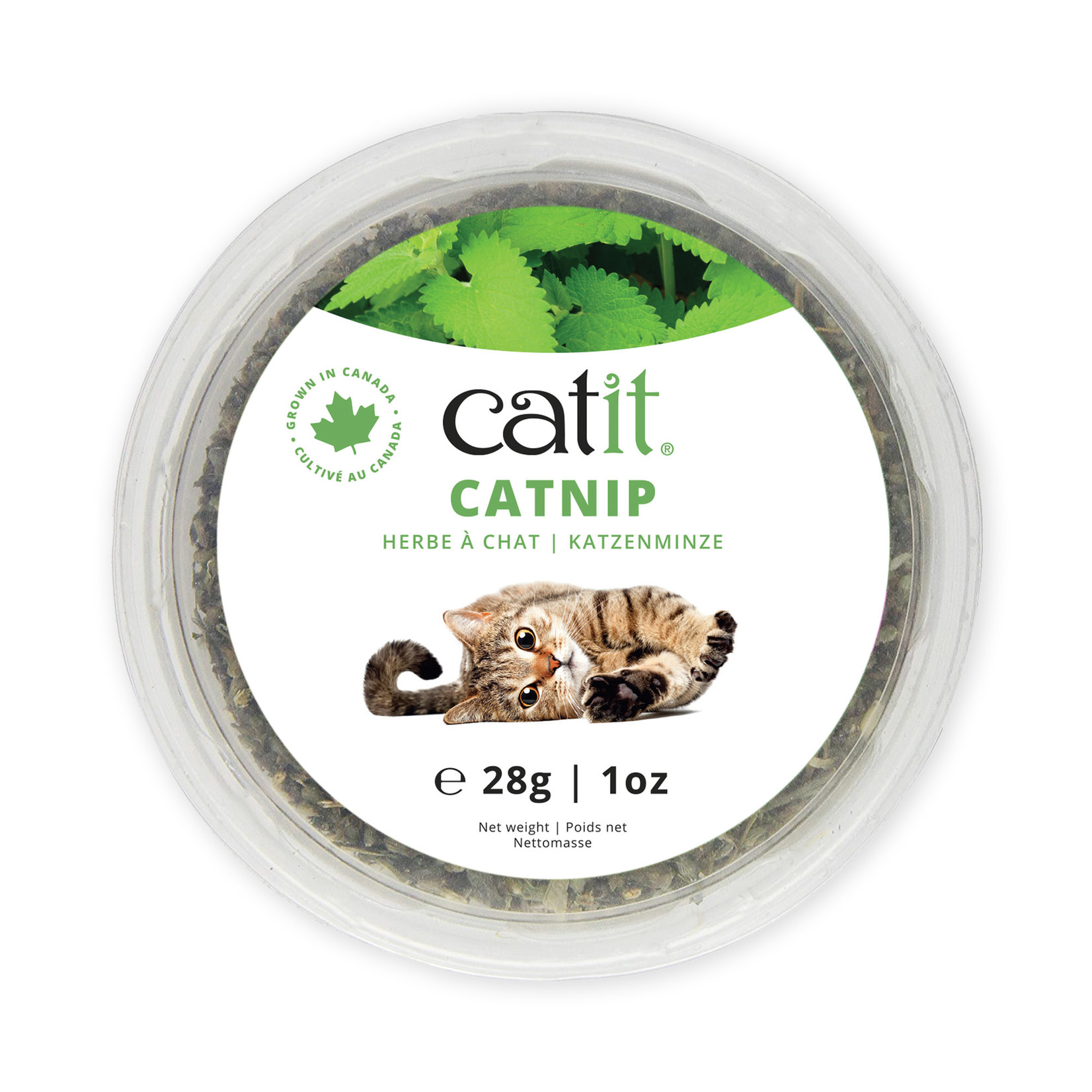 CAT IT Catit Catnip - 28 g (1 oz) plastic tub