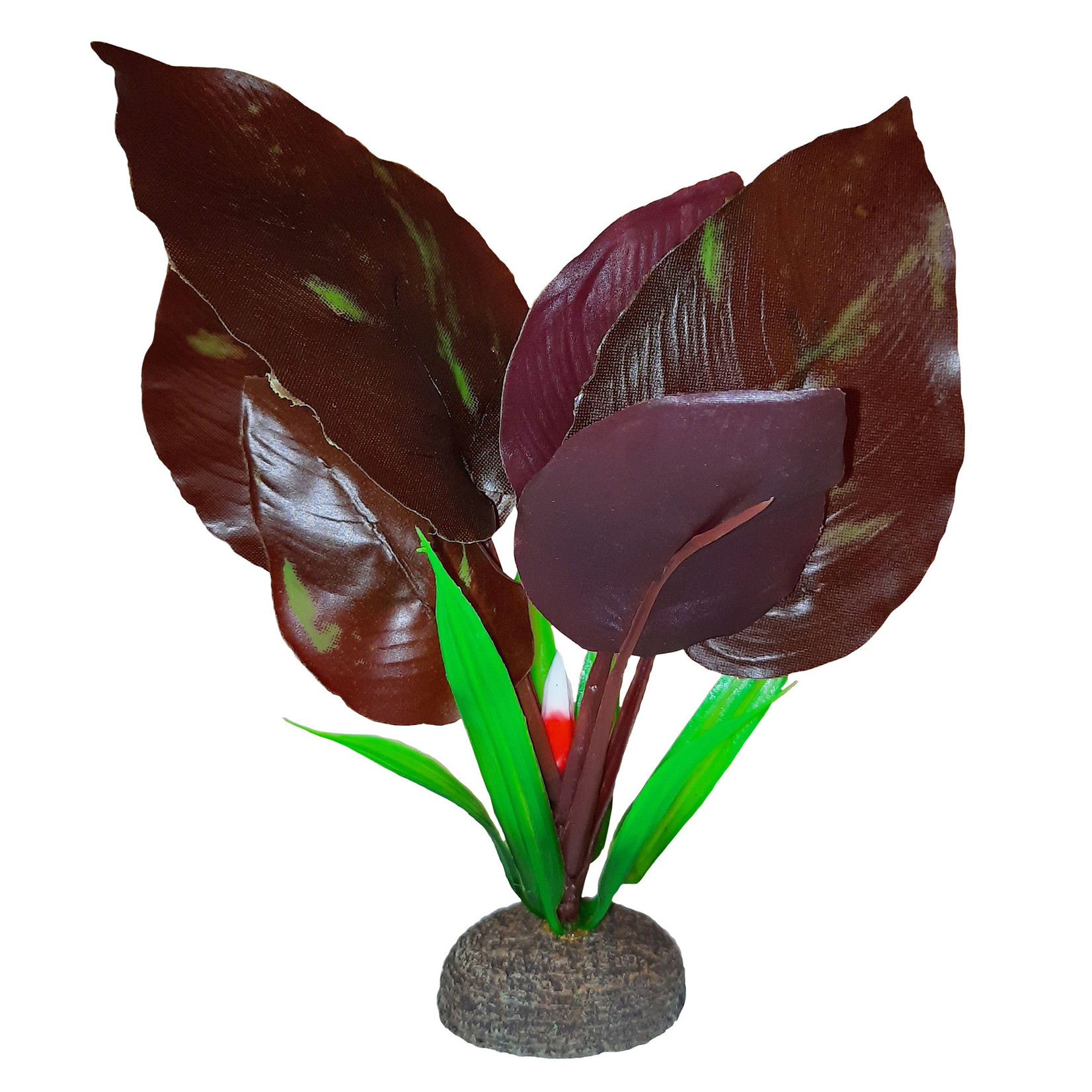 FLUVAL Fluval Betta Red Lizard Plant - 15 cm (6 in)