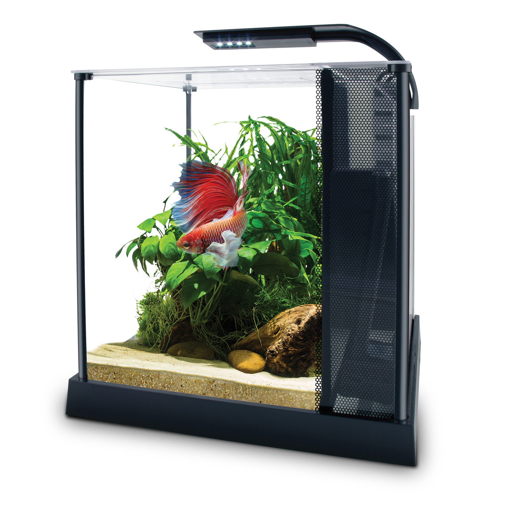 FLUVAL Fluval Premium Betta Kit - 10 L (2.6 US Gal)